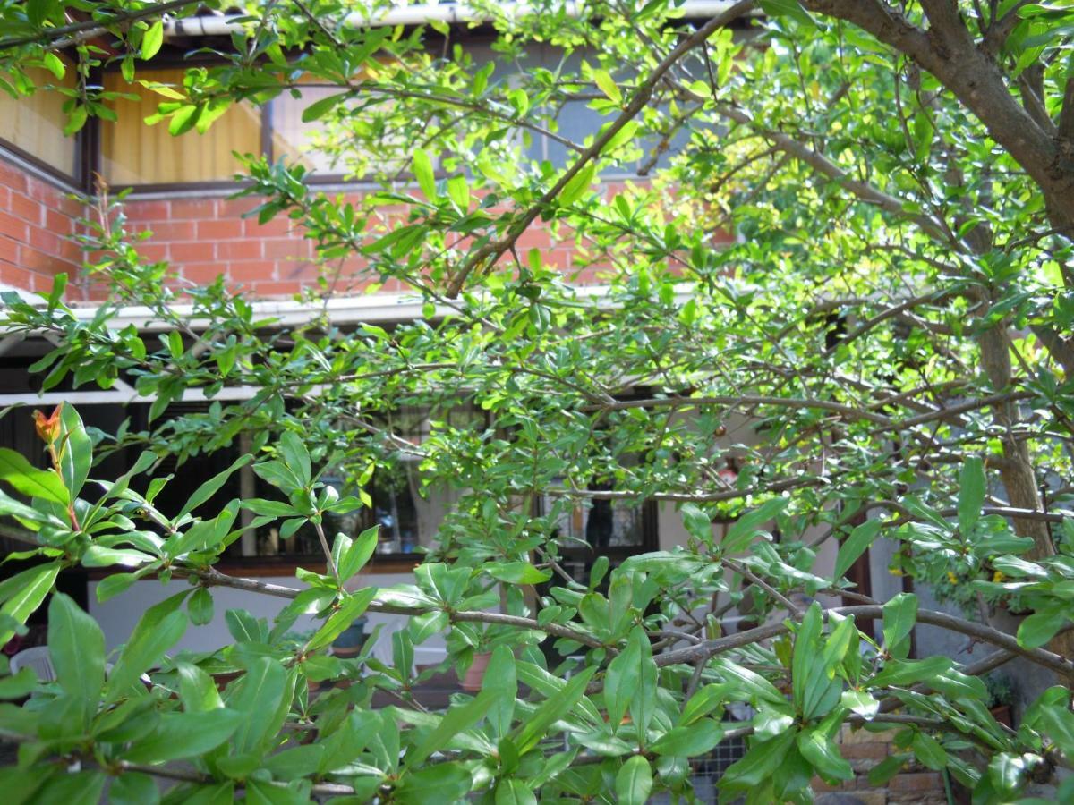 Angie'S Shared Villa Tam Tirana Exterior foto