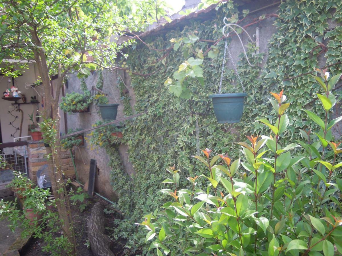 Angie'S Shared Villa Tam Tirana Exterior foto